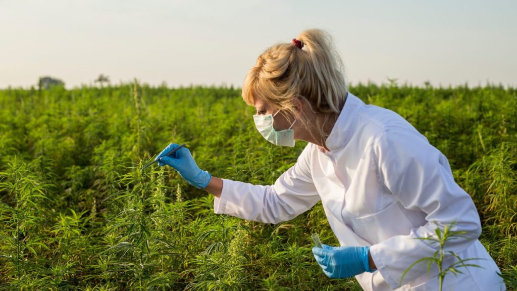 Extraction Methods and Lab Testing in the Hemp Industry